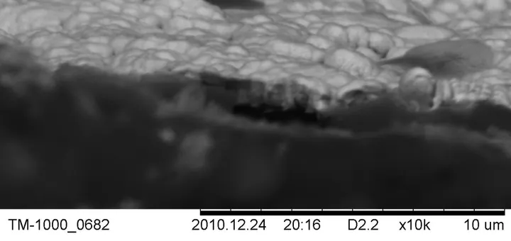 Tungsten-Carbon Film Growth Model
